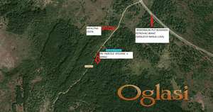 PRODAJEM ZEMLJIŠTE SA ŠUMOM VRH LOKACIJA UZ REGIONALNI PUT